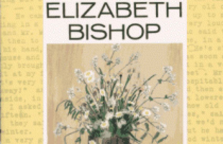 Elizabeth Bishop Letters Book Cover
