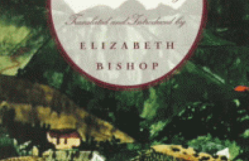 Elizabeth Bishop The Diary of Helena Morley Book Cover